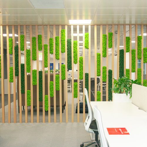 Diseño-biofilico-oficina